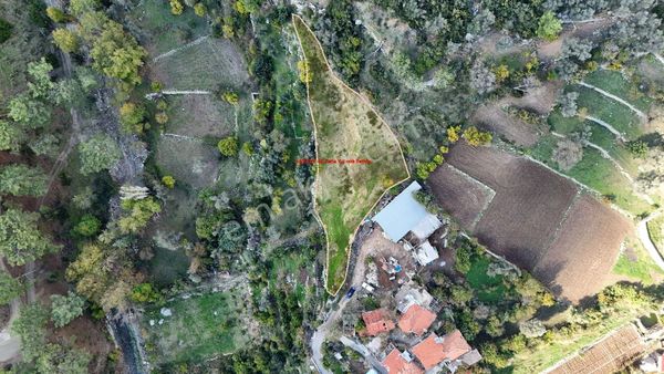 Fethiye Yakacık'ta Projesi Hazır 1697m2 Köyiçi Konumda Satılık Tarla