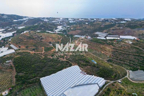 Alanya Yeşilöz’de Satılık 17.251 M² Deniz Manzaralı Tarla