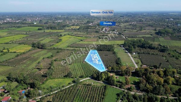 Cihan Çaylan'dan Termede Fırsat Tarla