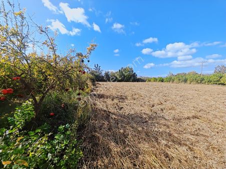 Muğla Ortaca Dikmekavak Satılık 2.315 M2 Arsa 3e Gayrimenkul