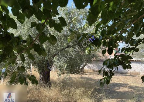 Derbent Mahallesi'nde Satılık 277m2 Arsa