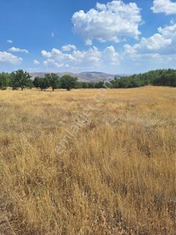 Toki Konutlarına Yürüme Mesafesinde Fırsat Arazi 5895 M2