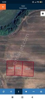 Mut Grouptan 1345 Mt² Arsa