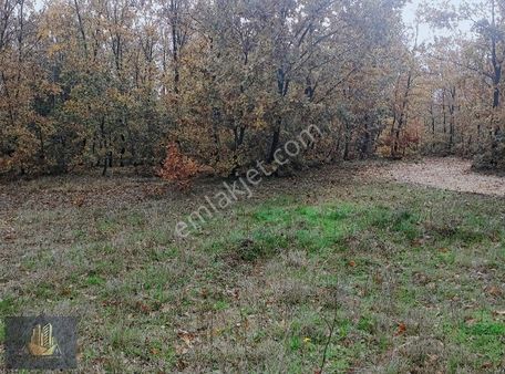 Binkılıç'ta Doğa İle İç İçe Yatırımlık Fırsat Tarla