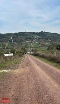 Kandıra Bollu Köyünde Fırasat Arazi