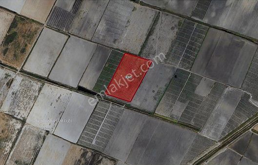 Gelişme Aksında Verimli, Sulak, Resmi Yollu Uygun Fiyatlı Tarla