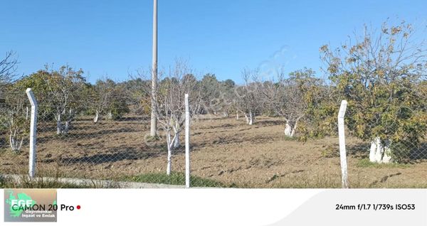 Ege Emlak Tan Germencik Te Satılık Muhteşem Bahçe