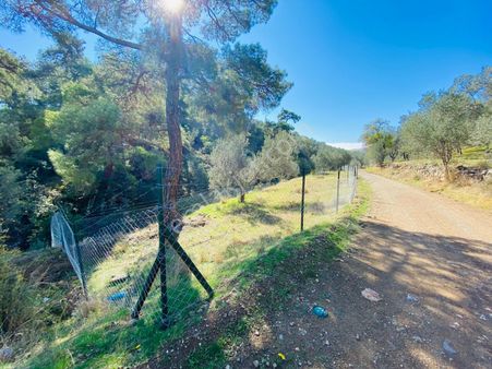 Havran Büyükderede 625m2 Uygun Fiyatlı Satılık Bahçe