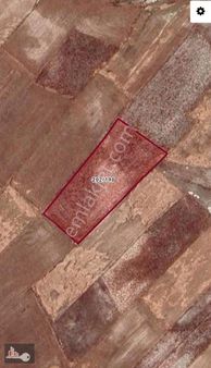 Burdur Karamanlı Mürseller Köyü Satılık Tarla