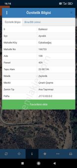 Altınova Ya Yakın Deniz Manzaralı Kısmı Zeytin Ekili Arazi