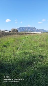 Fevziyede Yerleşim İçi 4837 M2