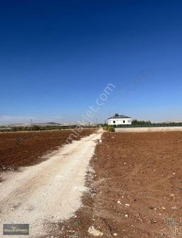 R E N K Ten Sazgında 378 Mt Etrafı Çevrili Bağ Evi Yeri