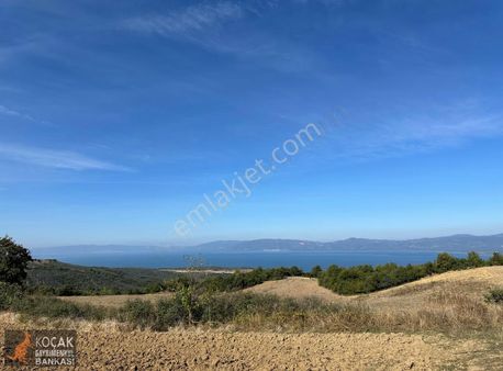 Derbent Mahallesinde 2.350m2 Satılık Göl Manzaralı Arazi