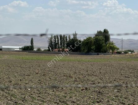 Ankara Gölbaşı'nda Satılık Tarla