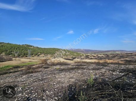 Deniz G.m.den Selimiye'de Asfalt Kenarı Arazi