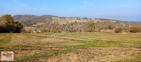 Vezirköprü Ağcaalan Mh Satılık 11.700 M2 Yola Cephe Tarla