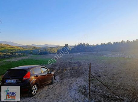 Satılık Resmi Elektrik Ve Resmi Suyu Olan 500 M2 Arsa