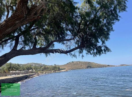 Gümüşlük Denize Sıfır 5+2 Lüks Villa