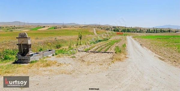 Ebiç'te Yolu Ve Suyu Olan Verimli Tarla Çiftlik Olur.takas Olur