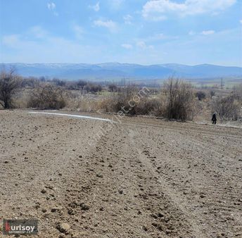 Kurtsoydan Mahzemin'de Yolu Ve Sulu Olan Fırsat Tarla Ve Bağ