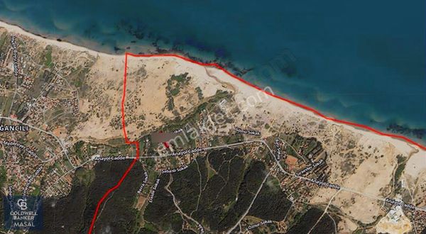 Şile Alacalı'da 250,18 M² Paylı Satılık Tarla