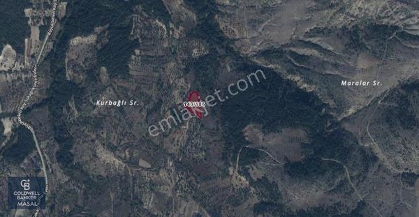 Bilecik Gölpazarı Büyükbelen Köyünde Satılık 3823 M2 Tarla