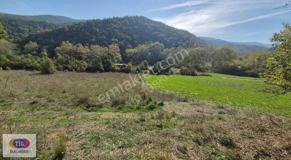 Tek İşim Gayrimenkul'den Nilüfer Hasanağada Satılık Tarla