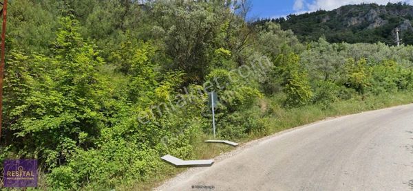 Kestel Narlıdere'de Satılık Arazi