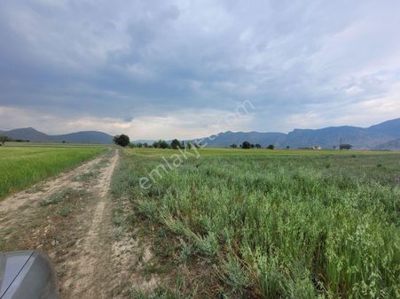 Korkuteli Yakaköy'de Acilsatılık 4600m2 Tarla Elektrik Su İçinde