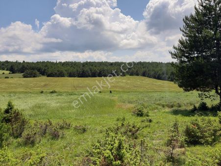 Wisremden Safranbolu Sırçalı Köyünde Satılık Konut İmarlı Arsa