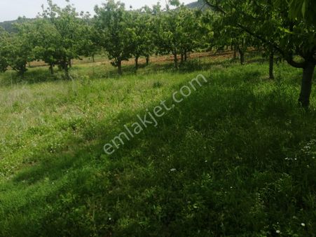 Rt Safir'den Keles Durak Mahallesinde Satılık Tarla