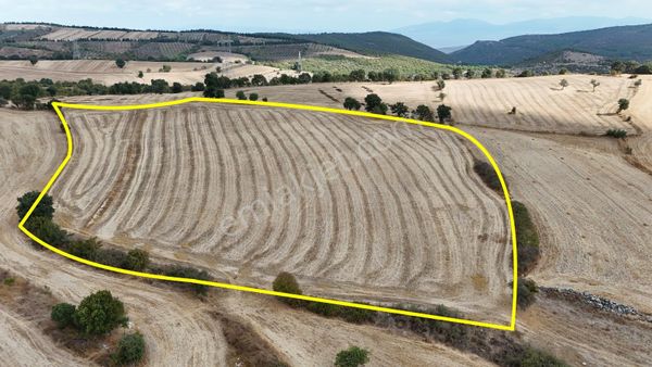 Havadar Güzel Konumda Resmi Yola Bir Parsel 23 Dönüm Tarla