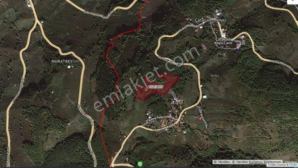 Akmanoğlu Emlak'tan Çatalçam Köyünde 1000 M2 Satılık Parsel Fındık Tarlası