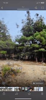 Denizli Çal Köyünde Yatırımlık, Tek Tapu Tarla!