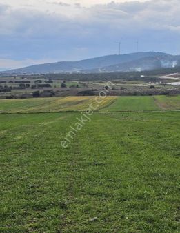Çanakkale Biga Örtülüce Köyünde Satılık 721 M2 Tarla