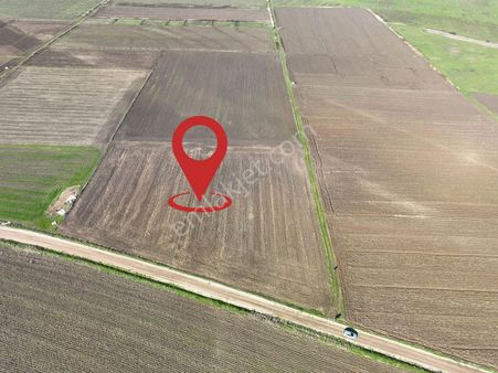 Çanakkale Biga Yeniçiftlik Köyünde 5.738 M2 Satılık Tarla