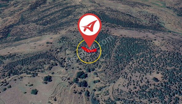 Aydın Çine Bağlarbaşı Satılık 565m2 Tarla