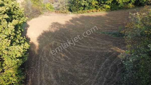 Yoldaş Emlaktan Kandırada Teksen Mah 4600 M2 Tarla