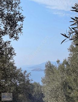 Malta'dan Deniz Manzaralı Resmî Yola Cephe Fırsat Zeytinlik