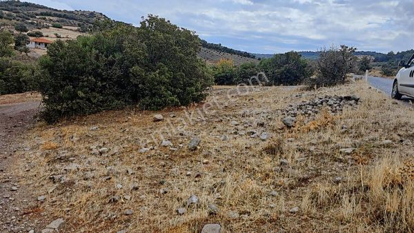 Manisa / Akhisar'da Satılık Fırsat Tarla !