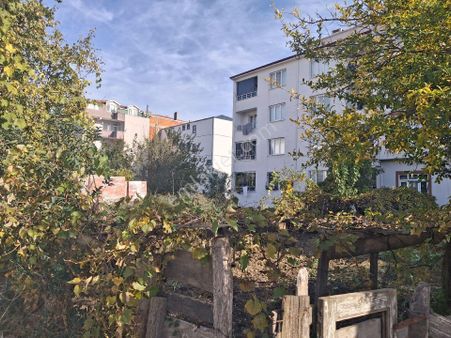 Çığır Emlak Altınkaya Buyuk Pazara Yakın 374 Mette Taban 300 Metre İnşat Ala