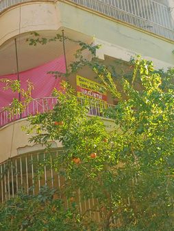 🏡dayı Yegen Emlaktan 3+1 Kiralik Daire Veysel Karani