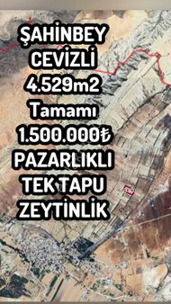Acil Satılık Kelepir Fiyata Arazi Almanın Tam Zamanı