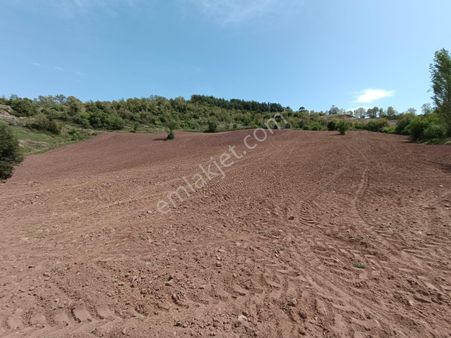 Ağabey Gayrimenkul'den Baktırlı Mahallesinde Satılık Tarla