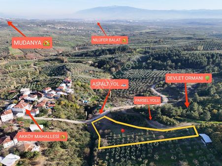 Mudanya Akköy'de Köy İçi Tek Tapu 3827m2 Emsalsiz Arazi