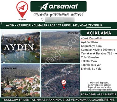 Aydın Karpuzlu Cumalar Satılık 40m2 Zeytinlik