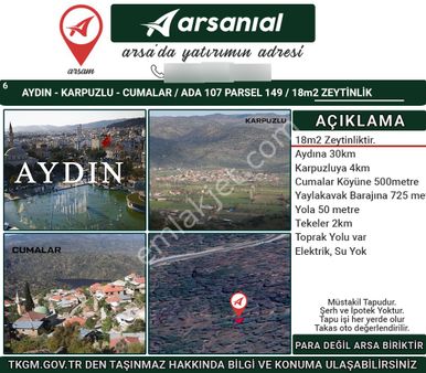 Aydın/karpuzlu/cumalar Satılık Zeytinlik 18m2