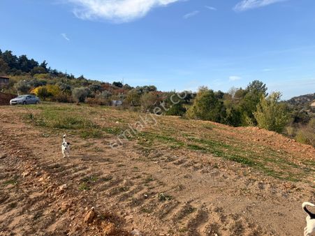 Ağabey Gayrimenkul'den Bozkır Mahallesinde Satılık Arsa