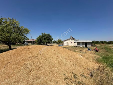 Coldwell Banker Safir'den Havalimana Komşu Satılık Tarla