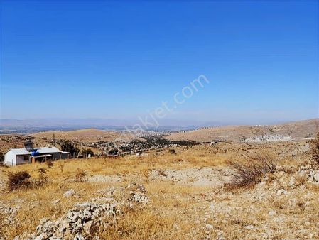 Coldwell Banker Safir'den Konak Da 4375 M² Satılık Bahçe